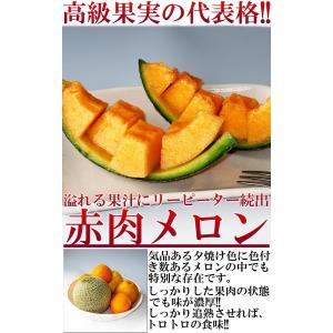 赤肉メロン 約4〜5kg 3〜7玉 訳あり品 ...の詳細画像1