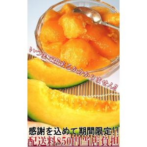 赤肉メロン 約4〜5kg 3〜7玉 訳あり品 ...の詳細画像3