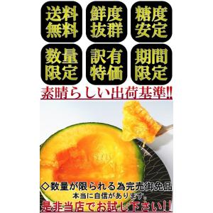 赤肉メロン 約4〜5kg 3〜7玉 訳あり品 ...の詳細画像4