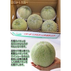 赤肉メロン 約4〜5kg 3〜7玉 訳あり品 ...の詳細画像5