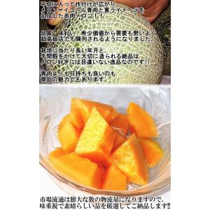 赤肉メロン 2〜3玉 訳あり品 茨城産・熊本産...の詳細画像2