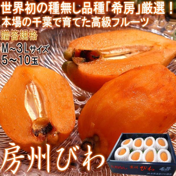 房州びわ 種なし 枇杷 M〜3Lサイズ 5〜10玉 千葉県産 贈答品 JA共撰品 世界初の種無しビワ...