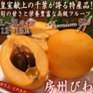 房州びわ 枇杷 プレミアム規格 L〜3Lサイズ 12〜15粒