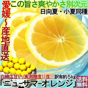 産地直送 日向夏 ニューサマーオレンジ 約5kg 愛媛県産 訳あり家庭用 糖度実測11度以上 白皮ごと食べるオレンジ！