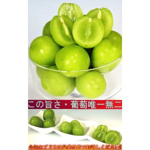 晴王 はれおう シャインマスカット 白葡萄 岡...の詳細画像5