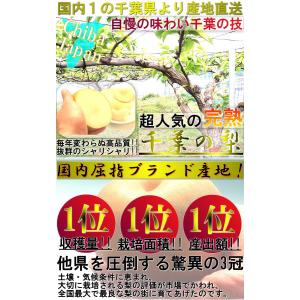 プレミアム 完熟梨 千葉県産 約3kg 3〜6...の詳細画像1