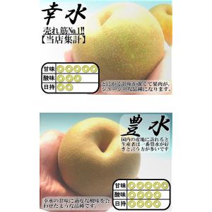 プレミアム 完熟梨 千葉県産 約3kg 3〜6...の詳細画像2