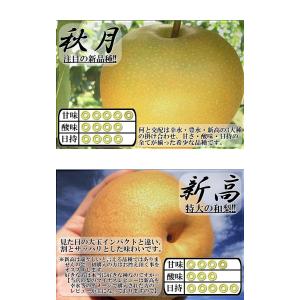 プレミアム 完熟梨 千葉県産 約3kg 3〜6...の詳細画像3