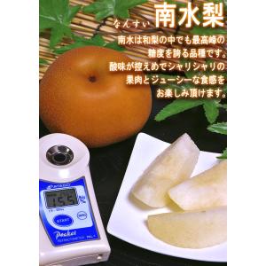 プレミアム 完熟梨 千葉県産 約3kg 3〜6...の詳細画像4
