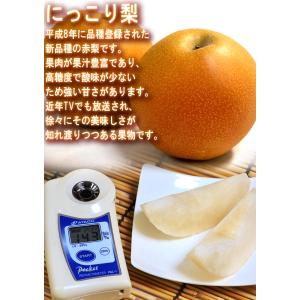 プレミアム 完熟梨 千葉県産 約3kg 3〜6...の詳細画像5