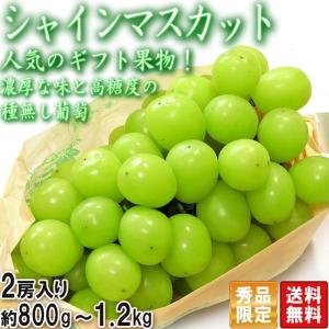 シャインマスカット 種無し葡萄 2房入り 計約800g〜1.2kg 山梨県産 贈答規格 皮ごと食べる高級ぶどう！濃厚な甘さのギフトフルーツ