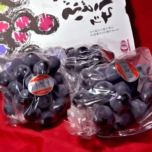 ブラックビート 黒葡萄 約1kg 2〜4房 岡山県産 贈答規格 JA晴れの国岡山 藤稔とピオーネから生まれた高糖度ブドウ！濃厚な味と爽やかな風味 ぶどう