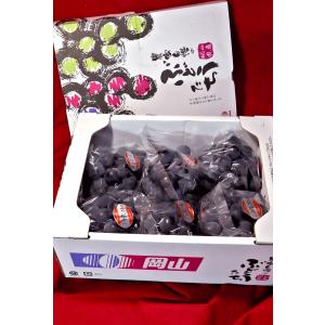 ブラックビート 黒葡萄 約1kg 2〜4房 岡...の詳細画像2