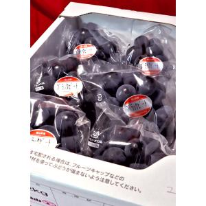 ブラックビート 黒葡萄 約1kg 2〜4房 岡...の詳細画像3