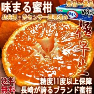 JA紀南 みかん 木熟みかん「極天」 小玉サイズ 3kg×1箱 送料無料