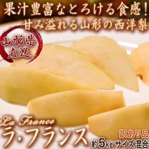 産地直送 ラ・フランス 西洋梨 約5kg 山形県産 訳あり品