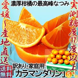 産地直送 カラマンダリン 愛媛県産 約5kg 訳あり家庭用 JAえひめ中央エリア（中島厳選） みかん類 実測糖度17度以上！