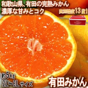 みかん ゆら早生 有田8果樹園 樹熟 紀州路の香り 和歌山産 小 3S