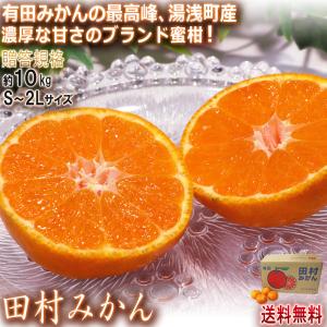 田村みかん 厳選有田ミカン 約10kg 2S〜2...の商品画像