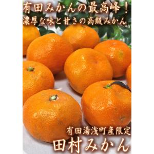 田村みかん 厳選有田ミカン 約10kg 2S〜...の詳細画像1