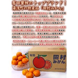 田村みかん 厳選有田ミカン 約10kg 2S〜...の詳細画像4
