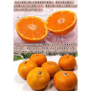 田村みかん 厳選有田ミカン 約10kg 2S〜...の詳細画像5