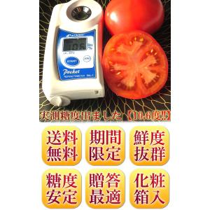 アメーラ フルーツトマト 約1kg 静岡・長野...の詳細画像3