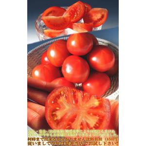 アメーラ フルーツトマト 約1kg 静岡・長野...の詳細画像4