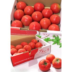 アメーラ フルーツトマト 約1kg 静岡・長野...の詳細画像5