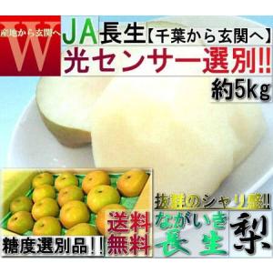 光センサー選別 千葉県 ながいき梨 5kg贈答品 幸水 豊水 あきづき 新高 大玉限定 千葉JA長生梨を幸水・豊水・新高・秋月等の多品種を千葉県から産地直送