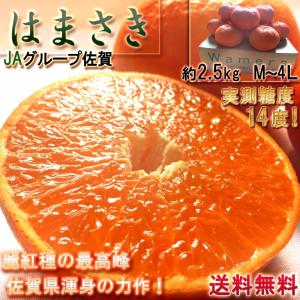 はまさき 麗紅 佐賀県産 2.5kg M〜4Lサイズ 秀品 簡易包装 JAからつ 柑橘類 佐賀県渾身...