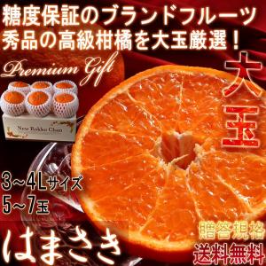 みかん はまさき 5〜7玉入り 3〜4Lサイズ 佐賀県産 大玉規格 JAからつ 贈答品 糖度保証のブランドフルーツ！大玉・秀品厳選のギフト果物