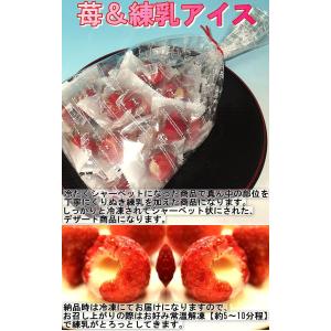 メーカー直送 いちご練乳ミルク アイス 冷凍便...の詳細画像1