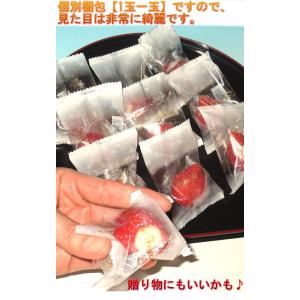 メーカー直送 いちご練乳ミルク アイス 冷凍便...の詳細画像2