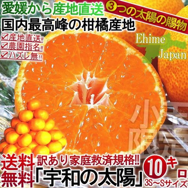 産地直送 宇和の太陽 温州みかん 約10kg 愛媛県産 小玉限定 S〜3Sサイズ 柑橘 えひめ蜜柑 ...