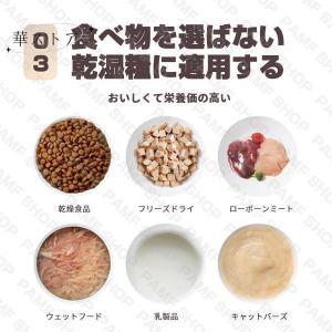 自動給餌器 オートペットフィーダー ペットフー...の詳細画像3