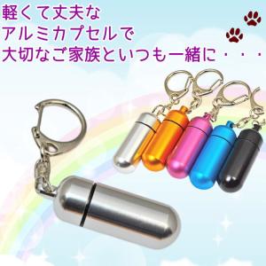 ペット 遺骨 キーホルダー カプセル小 ペット...の詳細画像1