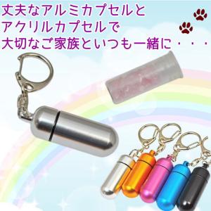 ペット 遺骨 キーホルダー カプセル大 2重構...の詳細画像1