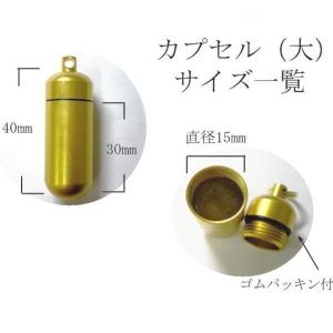 ペット遺骨 ストラップ カプセル大 ペット遺骨...の詳細画像1