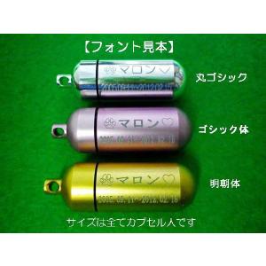 ペット仏具 オプション販売 遺骨カプセル刻印入...の詳細画像1