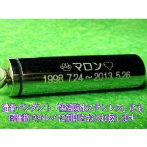 ペット仏具 オプション販売 遺骨カプセル刻印入...の詳細画像2