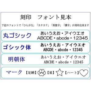 ペット仏具 オプション販売 遺骨カプセル刻印入...の詳細画像4