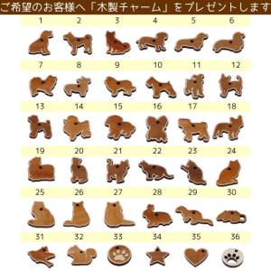 ペット遺骨 キーホルダー パステルスリム ペッ...の詳細画像5