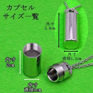 ペット遺骨ペンダント ステンレス製 光沢ありペ...の詳細画像1