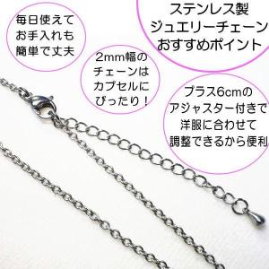 ペット遺骨ペンダント ステンレス製 光沢ありペ...の詳細画像3