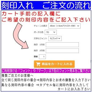 ペット遺骨ペンダント ステンレス製 光沢ありペ...の詳細画像4