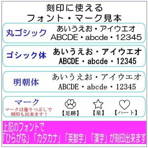 ペット遺骨ペンダント ステンレス製 光沢ありペ...の詳細画像5