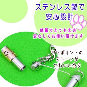 ペット遺骨 キーホルダー ステンレス製 肉球マ...の詳細画像3