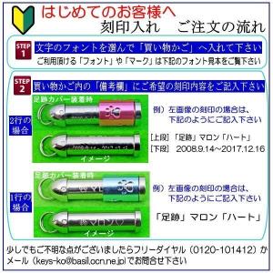 ペット遺骨ペンダント 刻印込 ステンレス製 肉...の詳細画像4