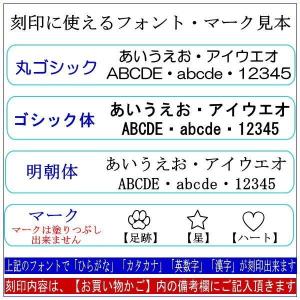 ペット遺骨ペンダント 刻印込 ステンレス製 肉...の詳細画像5